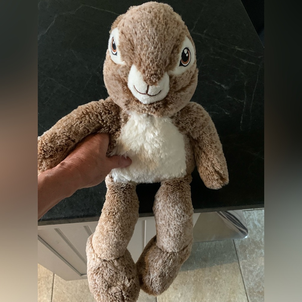 DAN DEE  | Peter Rabbit Stuffed Plush Bunny Rabbit - Picture 4 of 6
